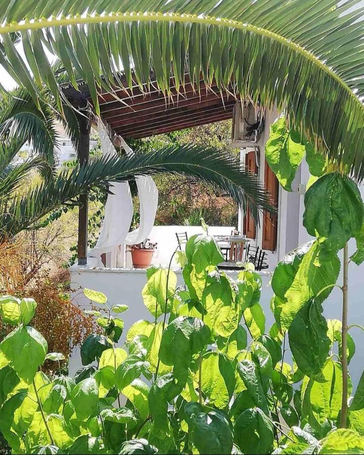 Mavrikou Helen Apartments Skyros Bagian luar foto