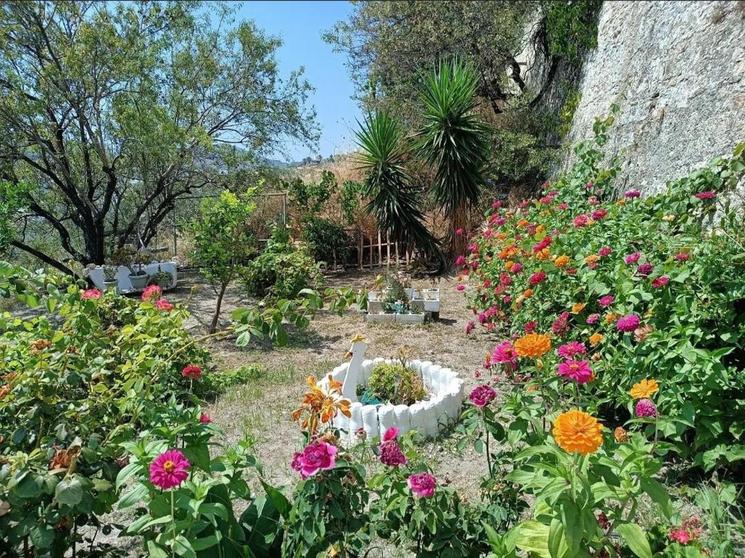 Mavrikou Helen Apartments Skyros Bagian luar foto